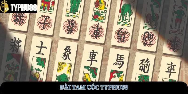 bai-tam-cuc-typhu88