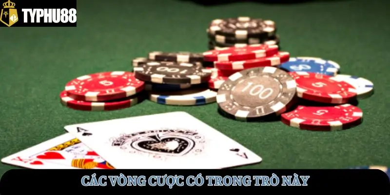 Các vòng cược có trong trò này