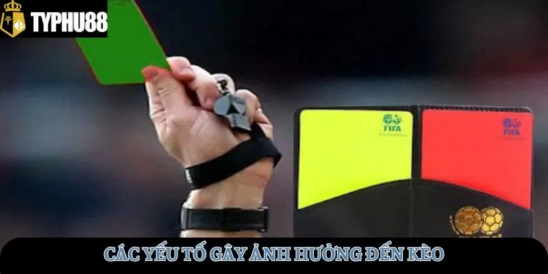 Các yếu tố gây ảnh hưởng 