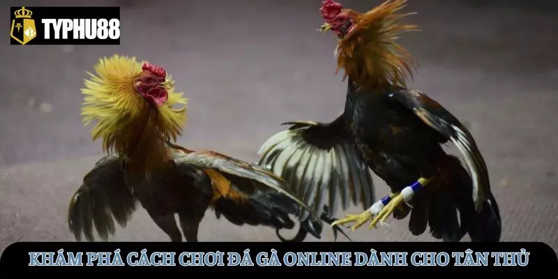 cach-choi-da-ga-online-avt