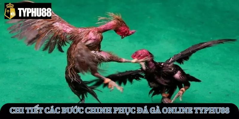 Hướng dẫn chi tiết các bước chinh phục đá gà online