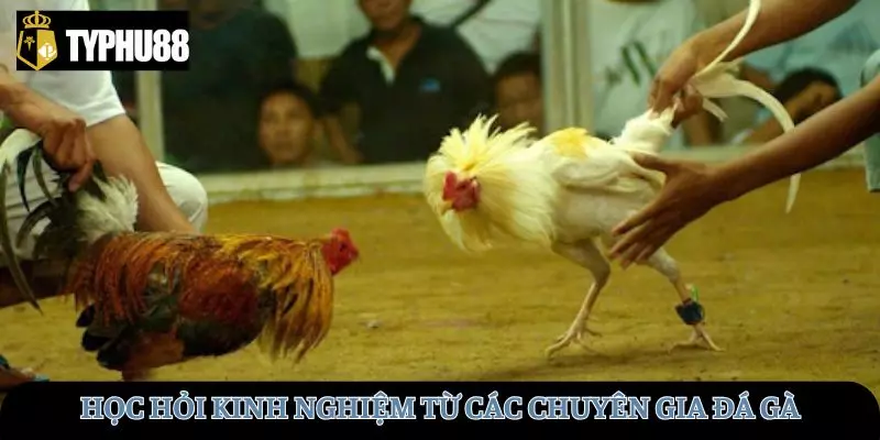 Học hỏi kinh nghiệm từ các chuyên gia cùng đam mê