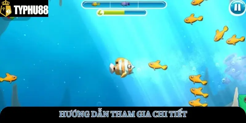 Hướng dẫn tham gia chi tiết