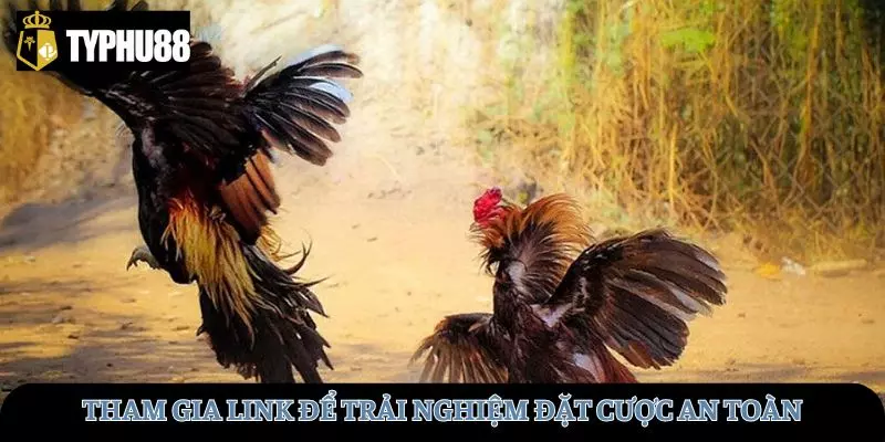 Trải nghiệm đặt cược an toàn, uy tín tại TYPHU88