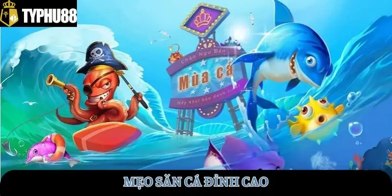 Mẹo săn cá đỉnh cao