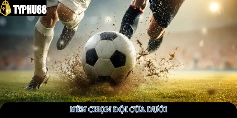 Nên chọn đội cửa dưới