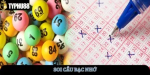 soi-cau-bac-nho
