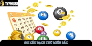 soi-cau-bach-thu-mien-bac