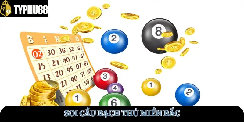 soi-cau-bach-thu-mien-bac