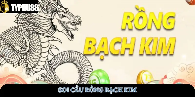 soi-cau-rong-bach-kim