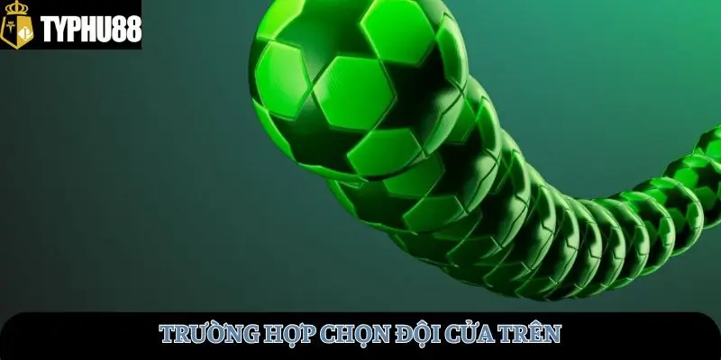 Trường hợp chọn đội cửa trên
